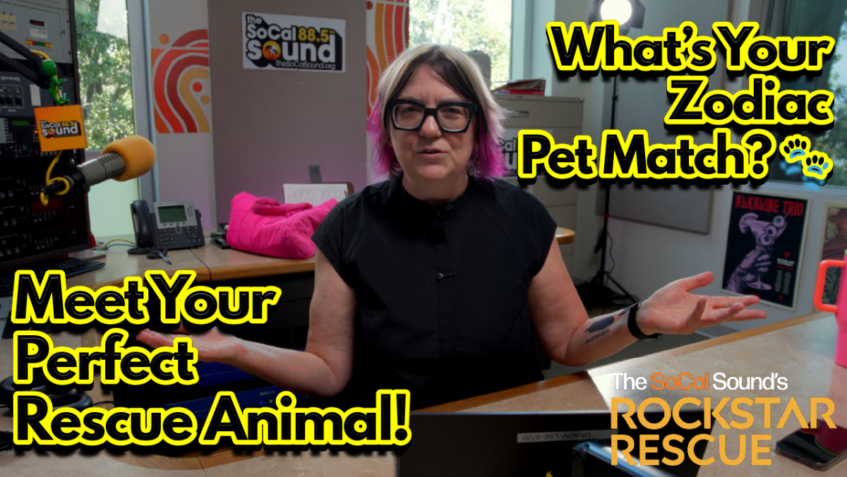 ZODIAC PETSArtboard 1