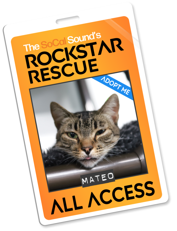 KCSN RockstarRescue PotW 101225 4 Pass
