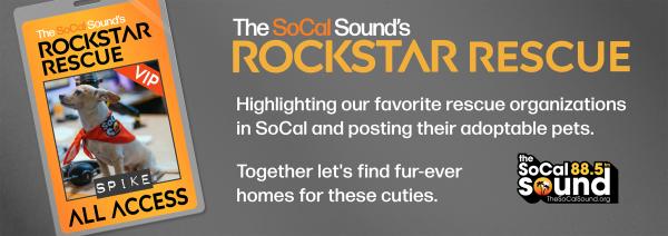 KCSN RockstarRescue General 071425 6 1130x405