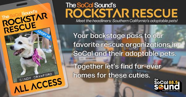 KCSN RockstarRescue PotW 031826 CreateOutlines FACEBOOK 1200x630